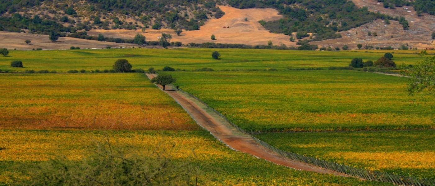 Chilean wine roads
